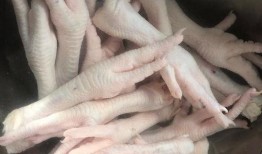 爆料柠檬鸡爪怎么做视频,酸辣开胃，轻松学会家常美味