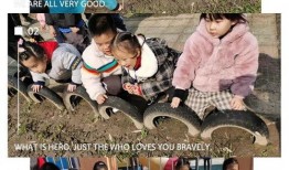 《种子》在线观看