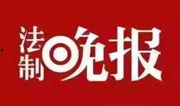 乐宇最新爆料新闻,揭秘娱乐圈惊人内幕