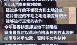 诈骗爆料新闻视频完整版